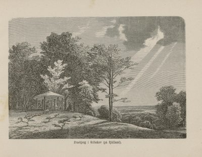 Illustrazione tratta dal libro Nordiska taflor di autore sconosciuto e pubblicato da Albert Bonnier (1865) da Unknown